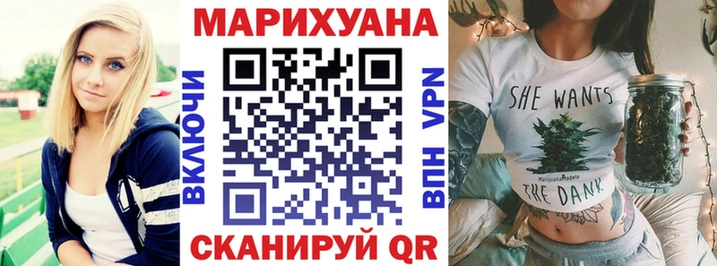 Бошки Шишки планчик  Гаврилов Посад 
